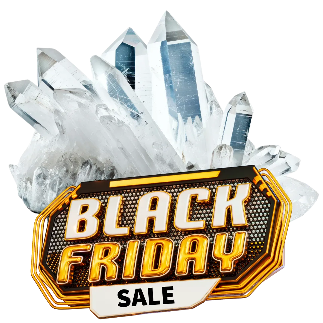 Black Friday Sale